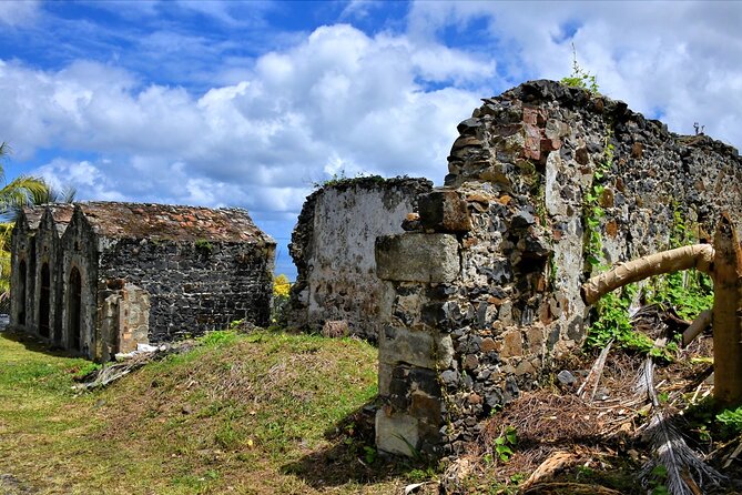 St. Lucia Island Short Tour - Roseau Beach and Banana Country: What This Quick Stop Teaches