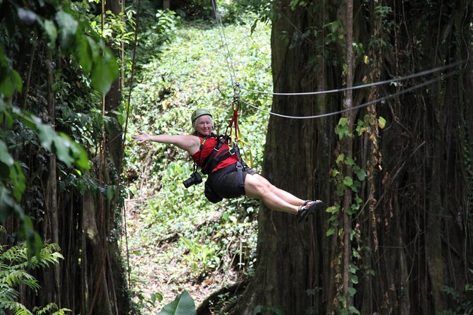 St. Lucia Morne Coubaril Estate Zipline Experience - The 1-Hour Flow: Training, Stairs, and the 8 Lines