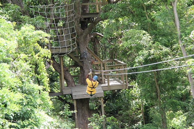 St. Lucia Morne Coubaril Estate Zipline Experience - Quick Tips to Make Your Ride Smooth