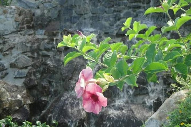 St Lucia Northern Island Tour - Key highlights to look forward to