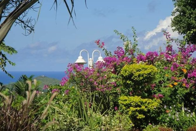 St Lucia Northern Island Tour - Gardens and Mini Forest Walks: The Plant and Wildlife Lesson You Actually Remember