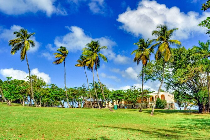 St Lucia Pigeon Island Ultimate Relax-Experience (Inc-Lunch) - The Rodney Bay drive, BayWalk, and why you will care later