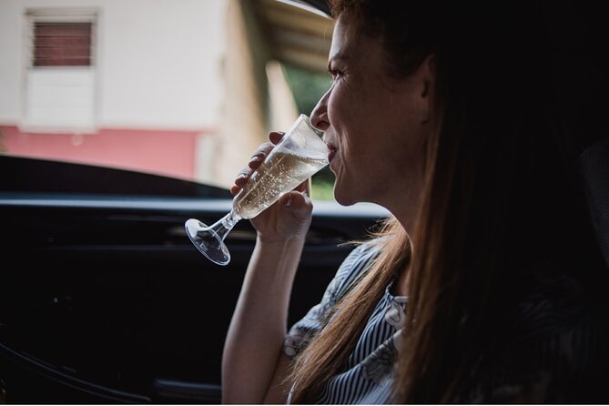 St Lucia Private Airport Transfer - Vacation Mode Activated! - Price and Value: When Private Transfer Feels Worth It