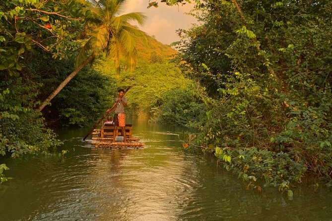 St. Lucia Private Bamboo Rafting Experience - The mangrove and rainforest portion: where the views do the talking
