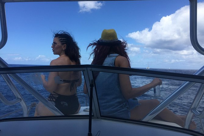 St. Lucia Private Boat Tour, Mud Bath, Waterfall & Beach Time - The film-scene view and scenic stops: where the scenery adds meaning