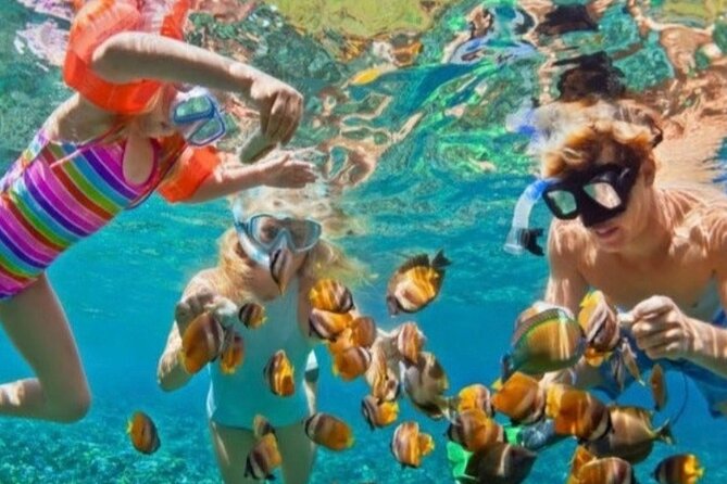 St Lucia Private Boat Tour/Sightseeing/Snorkeling - Hollywood-Style Bay Cruising and the Calm of Anse La Raye