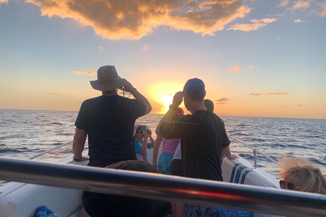 St. Lucia Private Sunset Cruise - Marigot Bay and Rodney Bay - The marina glide in Rodney Bay: waterfront homes and mega-yacht sightings