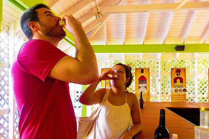 St Lucia Rum Distillery Tour & Mineral Bath Excursion - Sulphur Springs Mineral Mud Bath and Hot Pools