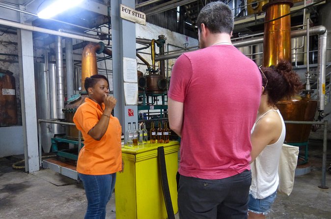 St Lucia Rum Tasting and Tour - Inside the distillery: sugarcane to rum, explained in a real-world way