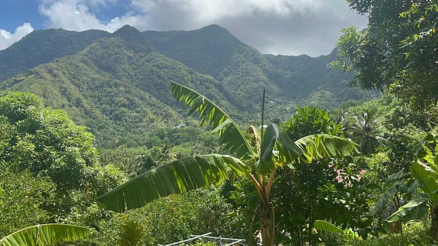 St. Lucia: Safi Estate, Volcano Waterfalls Experience - Key Highlights That Make This Tour Worth It