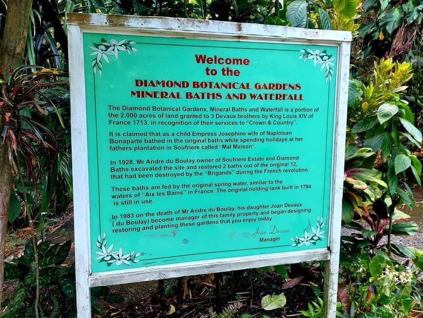St. Lucia: Scenic Nature Hike & Botanical Garden Escape - Key things to know before you go