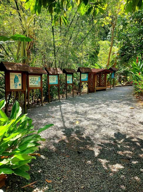 St. Lucia: Scenic Nature Hike & Botanical Garden Escape - Soufriere and the Pitons drive, where the photos happen