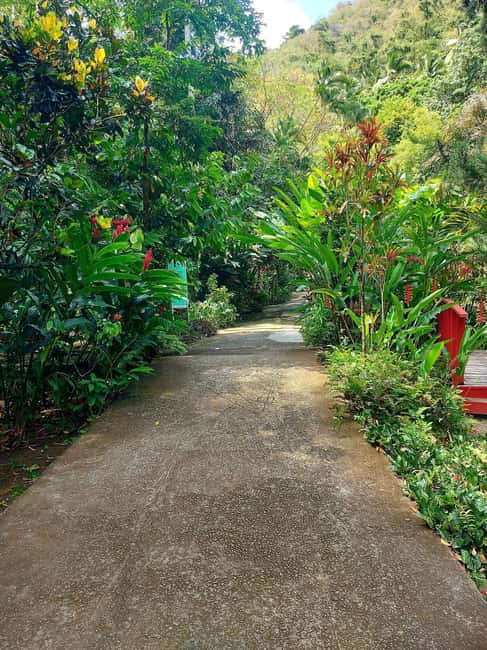 St. Lucia: Scenic Nature Hike & Botanical Garden Escape - The value math: $121 plus small entry fees