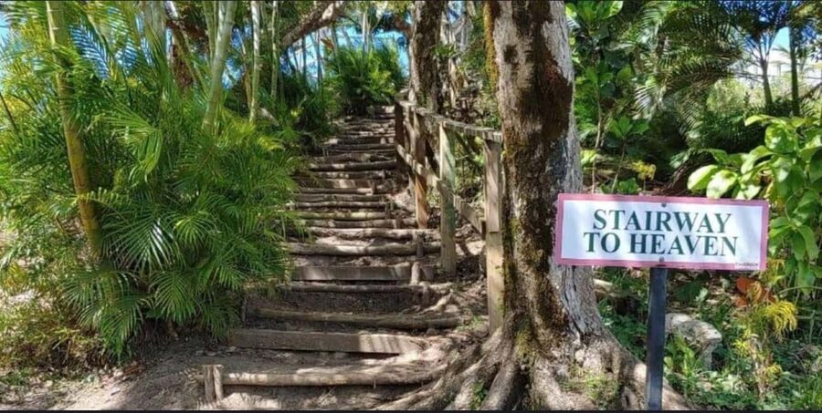 St. Lucia: Scenic Nature Hike & Botanical Garden Escape - What the day feels like, from pickup to return