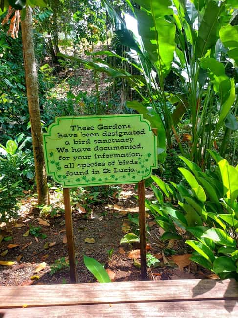 St. Lucia: Scenic Nature Hike & Botanical Garden Escape - Should you book?