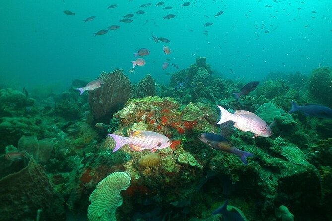 St Lucia Snorkeling Tour with Lunch - The Boat Ride and On-Board Comfort You Will Appreciate More Than You Think