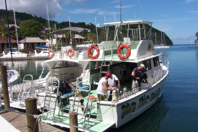 St Lucia Snorkeling Tour with Lunch - Reef Time #1: Coral Structure, Calm Water, and Easy-to-Follow Guidance