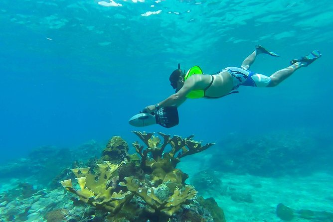 St. Lucia Speedboat and Power Snorkel From Castries - Key Highlights You Will Actually Care About