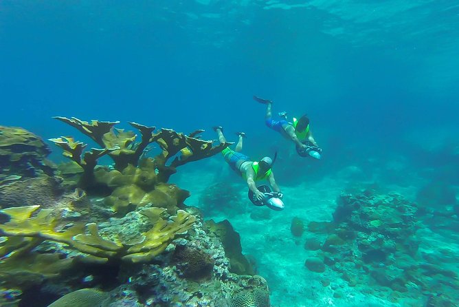 St. Lucia Speedboat and Power Snorkel From Castries - Pilot Your Own 17 ft Speedboat: How the Control Changes the Day