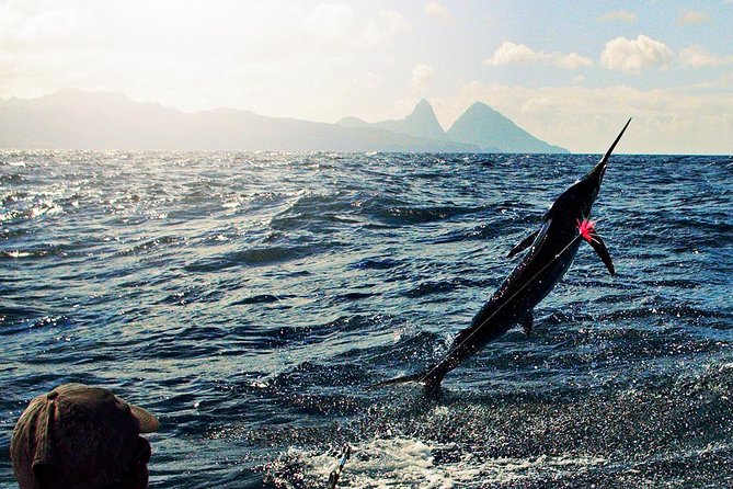 St Lucia Sport Fishing Tour - Why This 4-Hour St Lucia Charter Fits Real Anglers