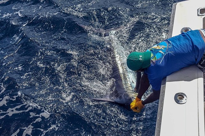 St Lucia Sport Fishing Tour - Casting for Wahoo, Dorado, Sailfish, and Marlin