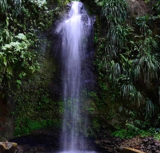 St. Lucia: Sulphur Springs Mud Bath and Toraille Waterfall - So, should you book Treasure Tours St. Lucia?
