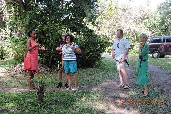 St Lucia Sunday's Tour - Price and Logistics: What $110 Buys You (and Why It Feels Fair)