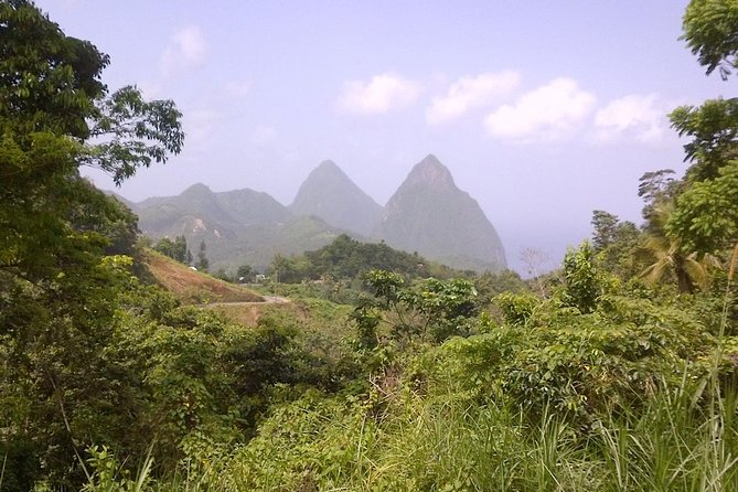 St. Lucia Tet Paul Nature Trail Tour - Key Things That Make This Tour Worth Your Time