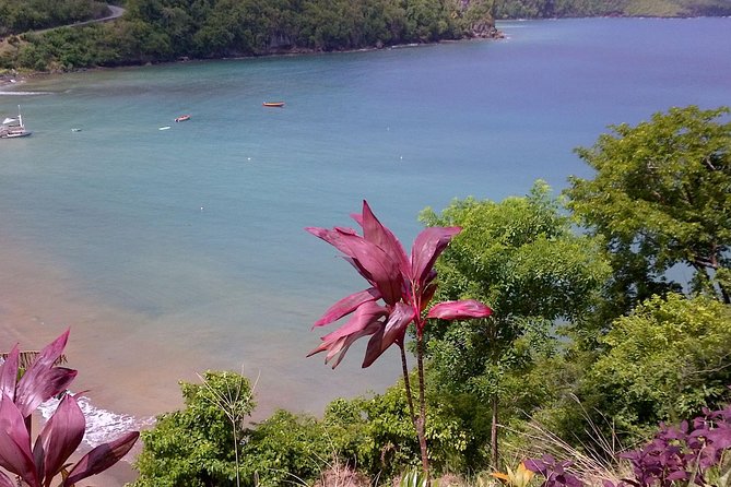 St. Lucia Tet Paul Nature Trail Tour - Descending Toward Soufriere Bay: Piton Views That Get Real Fast
