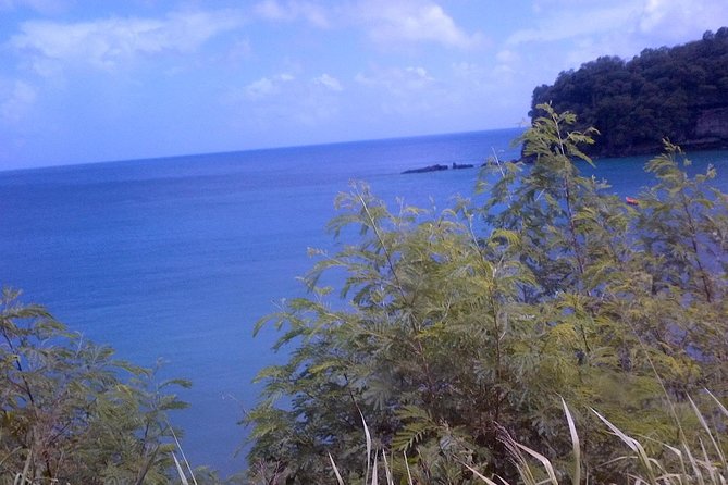 St. Lucia Tet Paul Nature Trail Tour - What to Expect During the Trail Walk