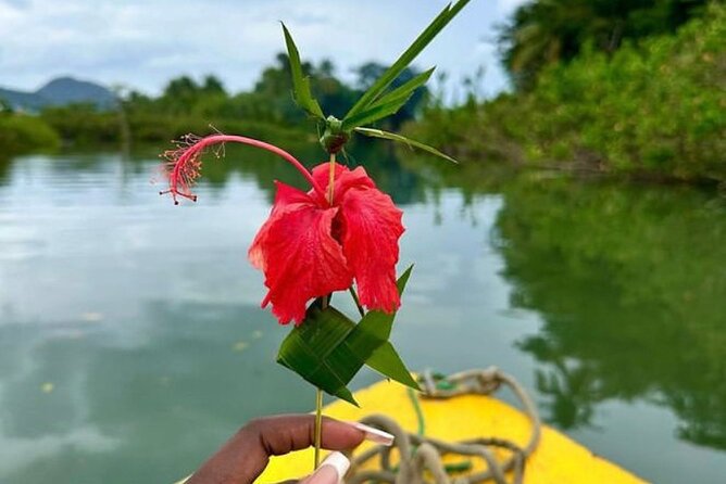 St Lucia Treasures - (Chocolates Rum and Rafting) - The value of private pacing: guides, movement, and that smooth day feel