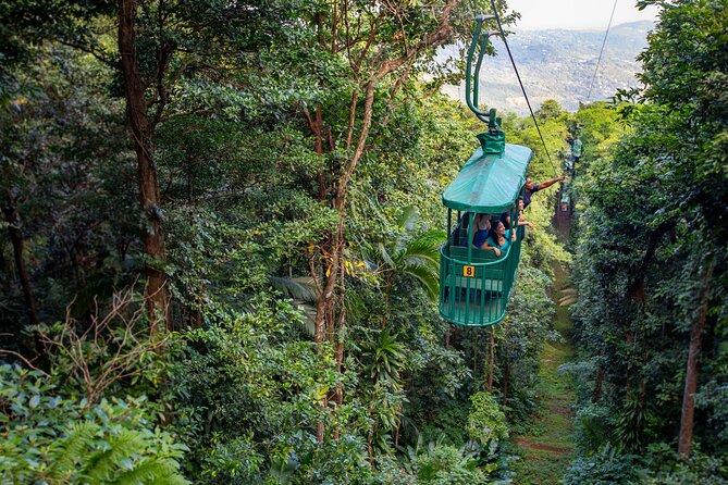 St Lucia Ultimate 3: Aerial Tram, Zipline and Hiking at Rainforest Adventures - Key highlights to plan for