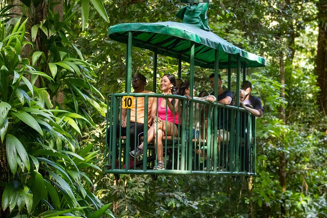 St Lucia Ultimate 3: Aerial Tram, Zipline and Hiking at Rainforest Adventures - Aerial tram ride to the top: calm, then wow