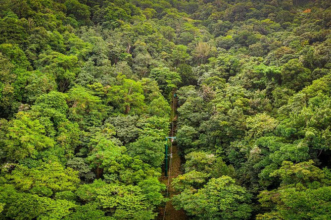St Lucia Ultimate 3: Aerial Tram, Zipline and Hiking at Rainforest Adventures - Walking to the canopy start platform