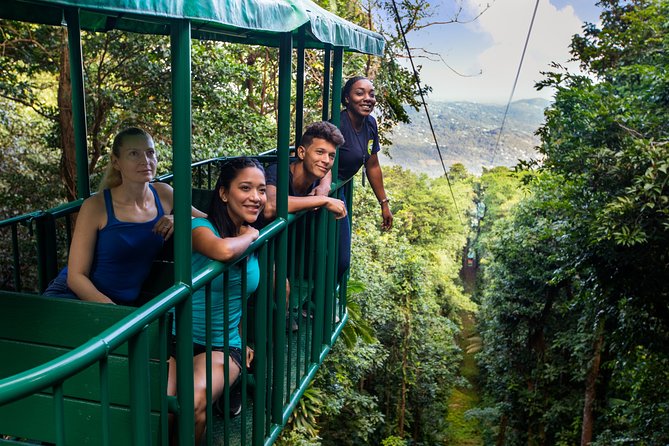 St Lucia Ultimate 3: Aerial Tram, Zipline and Hiking at Rainforest Adventures - The zipline course: 8 continuous lines across the canopy