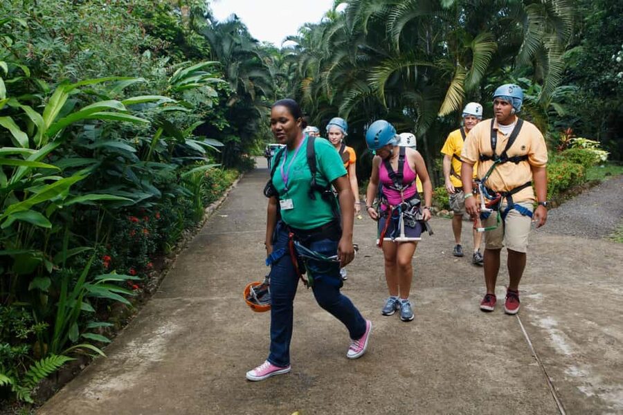 St Lucia Ultimate 3 Package: Aerial Tram Zip Line & Hiking - Why This 3 Part Rainforest Route Works (Tram, Hike, Zipline)