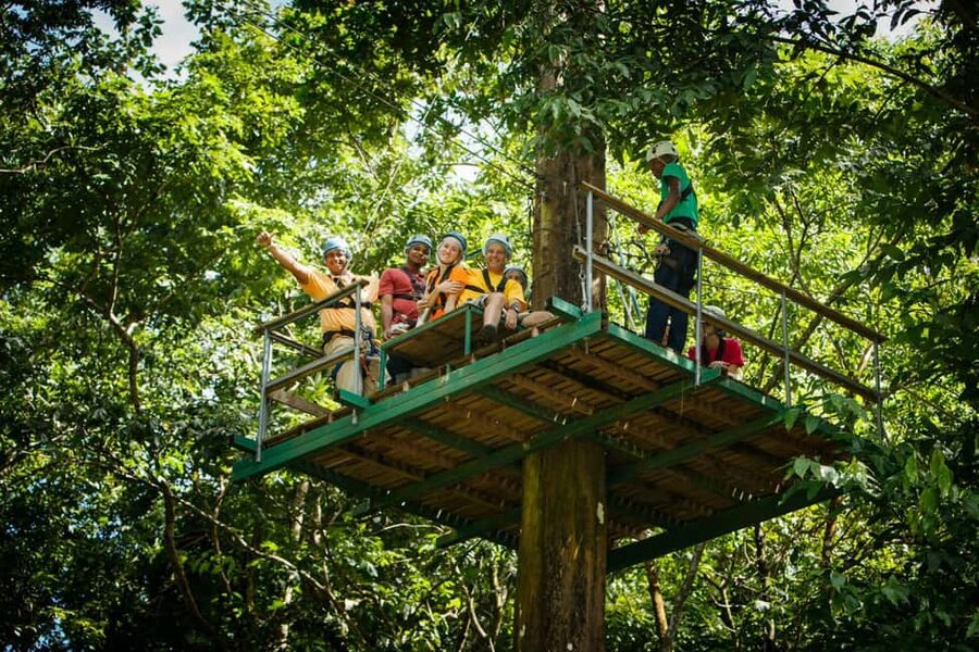 St Lucia Ultimate 3 Package: Aerial Tram Zip Line & Hiking - Your Gondola Up Into St. Lucia’s Old Protected Rainforest