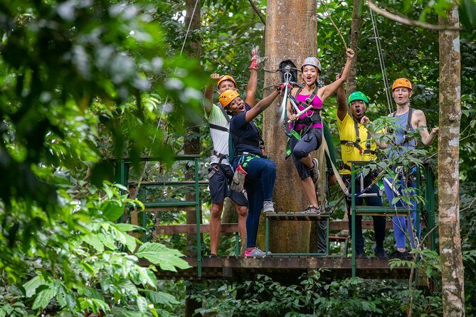 St Lucia Ultimate 3 Package: Aerial Tram, Zipline and Hiking - Castries Waterworks Forest Reserve: where the adventure actually happens