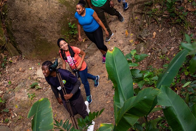St Lucia Ultimate 3 Package: Aerial Tram, Zipline and Hiking - Rainforest hiking with a Nature Interpreter: what you’ll learn while you walk