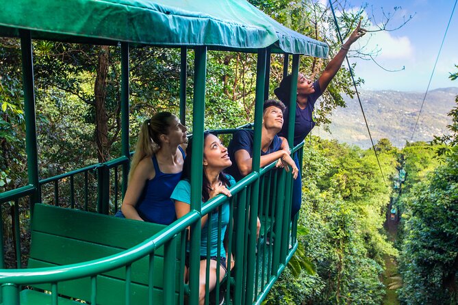 St Lucia Ultimate 3 Package: Aerial Tram, Zipline and Hiking - The aerial tram ride: a slow lift with rainforest views