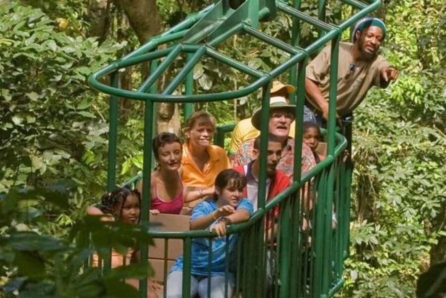 St. Lucia: Zip Line, Aerial Tram, and Hiking Tour - Check-In Timing and Spotting Your Guide