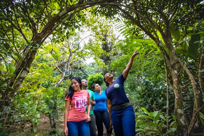 St. Lucia Zip line, Aerial Tram and Hiking tour Ultimate 3 - Training line and gear up: you do not just jump in