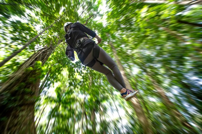 St. Lucia Zip line, Aerial Tram and Hiking tour Ultimate 3 - The zipline canopy: 8 lines, 16 platforms, and great speed control