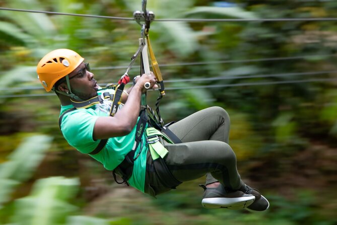 St. Lucia Zip line, Aerial Tram and Hiking tour Ultimate 3 - The aerial tram ride: a rainforest intro you can actually enjoy