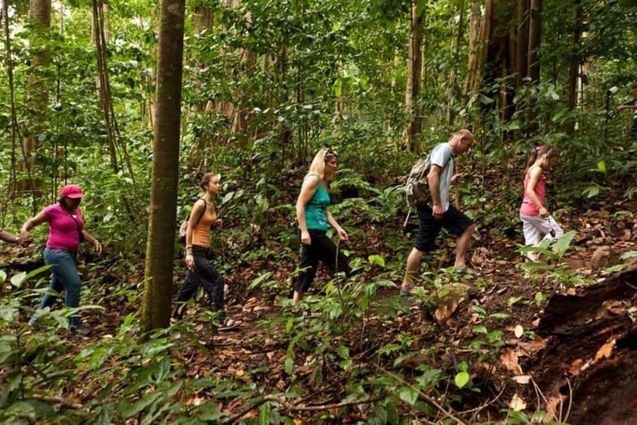 St. Lucia: Zip Line, Aerial Tram, and Hiking Tour - Getting There: Cruise Terminal Rules and Finding the Right Booth