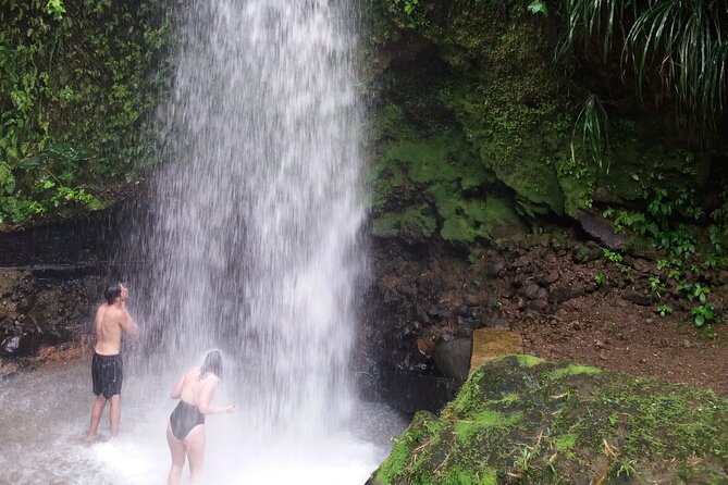 Sulphur Springs Mud Bath and Toraille Waterfall Tour with Creole Lunch - Key highlights to know before you go