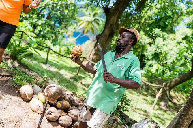 Tet Paul Hike & Soufriere Catamaran Experience - Price and Value: What $110 Actually Buys You