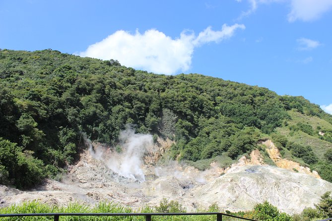 The Best of Saint Lucia Tour - Who This Tour Suits Best (And Who Should Skip It)