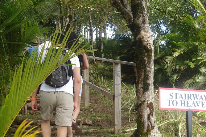 The Best of Saint Lucia Tour - Sulphur Springs and the Volcano Stop: Short, Guided, and Interesting