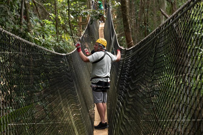 Treetop Adventure Park Canopy Tour - Key things to know before you go